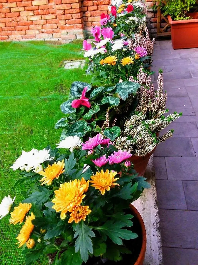 B&B Hortus Venice